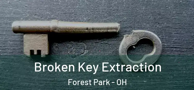  Broken Key Extraction Forest Park - OH