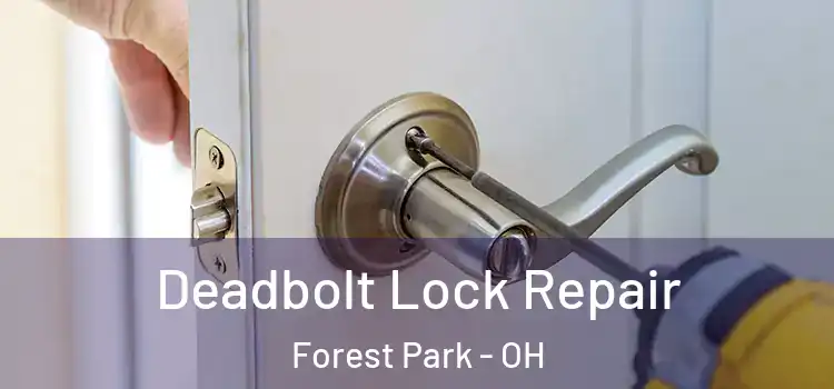  Deadbolt Lock Repair Forest Park - OH