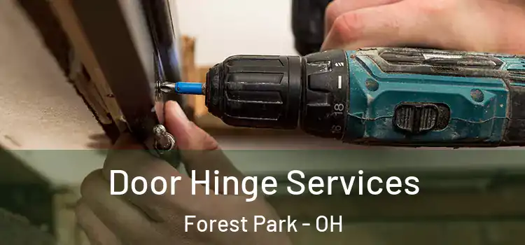  Door Hinge Services Forest Park - OH