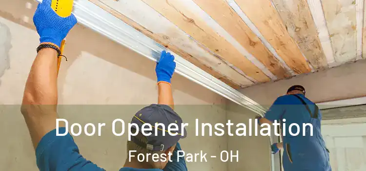  Door Opener Installation Forest Park - OH