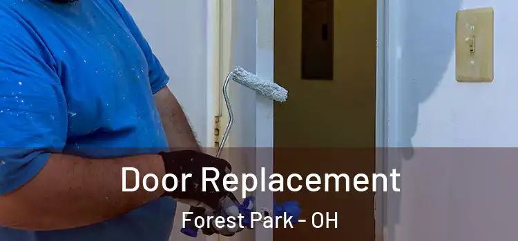  Door Replacement Forest Park - OH