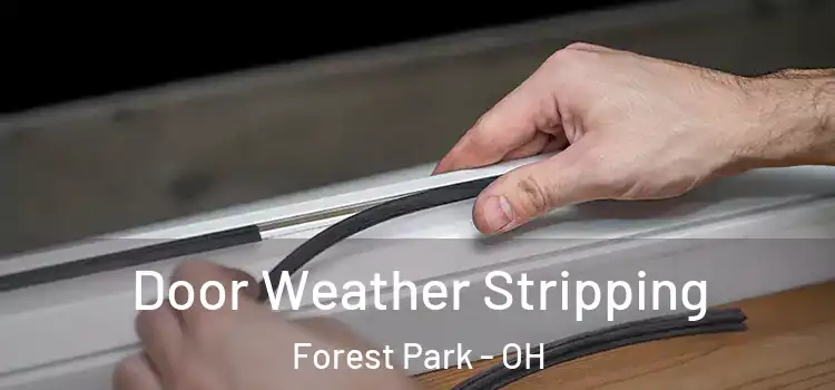 Door Weather Stripping Forest Park - OH