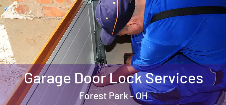  Garage Door Lock Services Forest Park - OH