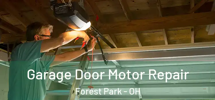  Garage Door Motor Repair Forest Park - OH
