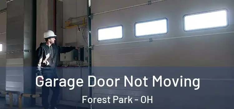  Garage Door Not Moving Forest Park - OH