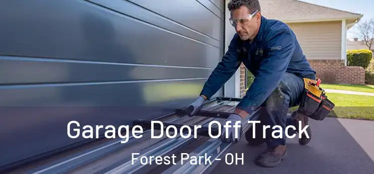  Garage Door Off Track Forest Park - OH