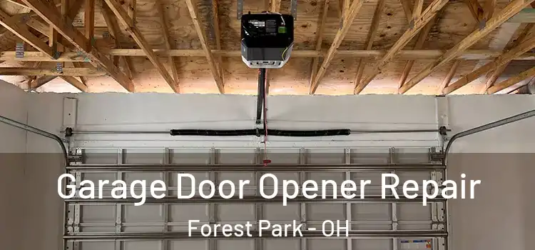  Garage Door Opener Repair Forest Park - OH