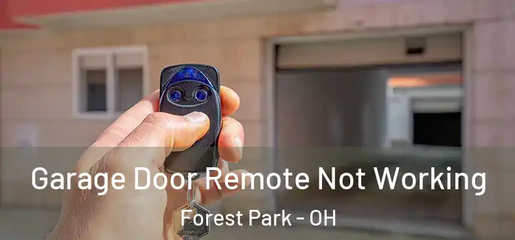  Garage Door Remote Not Working Forest Park - OH