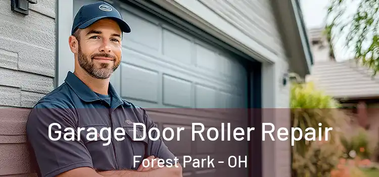 Garage Door Roller Repair Forest Park - OH