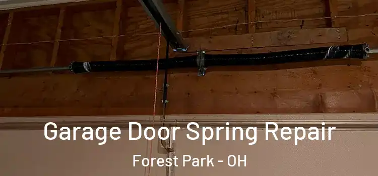  Garage Door Spring Repair Forest Park - OH