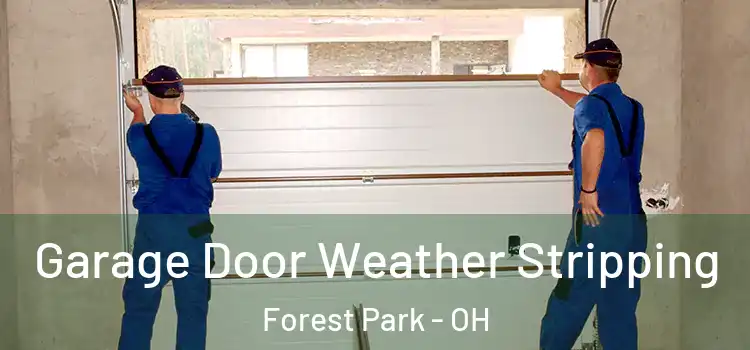  Garage Door Weather Stripping Forest Park - OH