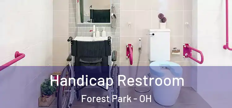  Handicap Restroom Forest Park - OH