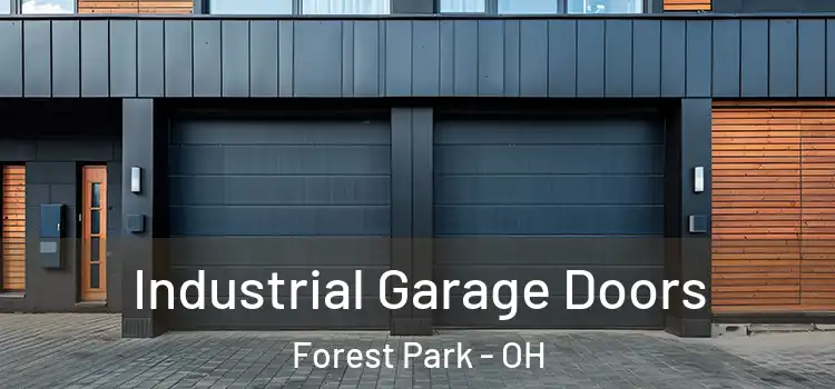 Industrial Garage Doors Forest Park - OH