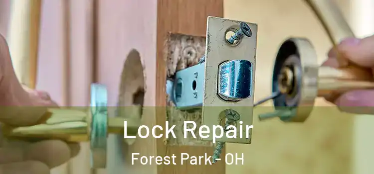  Lock Repair Forest Park - OH