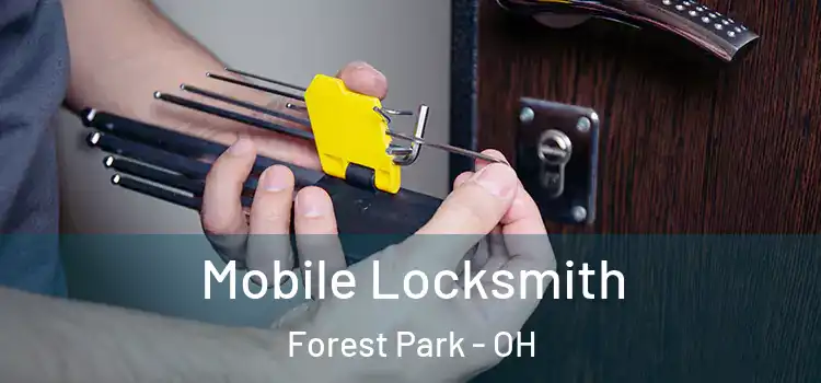  Mobile Locksmith Forest Park - OH