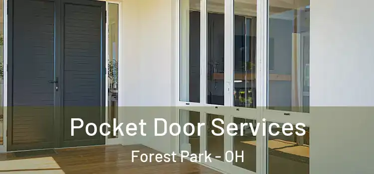  Pocket Door Services Forest Park - OH
