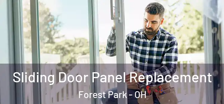  Sliding Door Panel Replacement Forest Park - OH