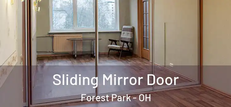  Sliding Mirror Door Forest Park - OH