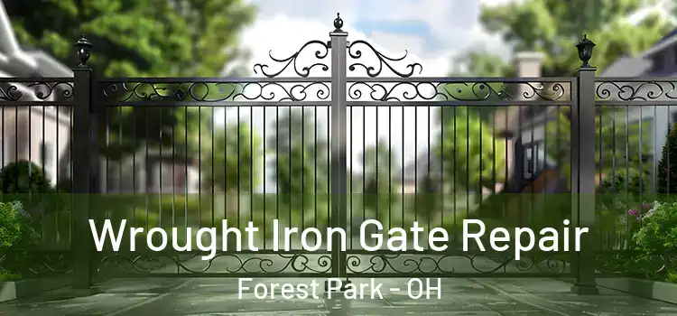 Wrought Iron Gate Repair Forest Park - OH
